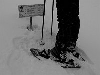 Ai Piani dell'Avaro con bufera di neve! (22 novembre 08) - FOTOGALLERY